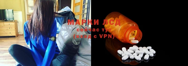 сатива Сатка