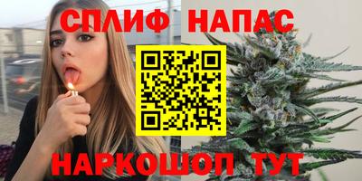 МДПВ Тула