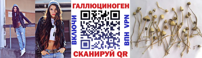 МЕГА вход  Родники  Галлюциногенные грибы MAGIC MUSHROOMS 