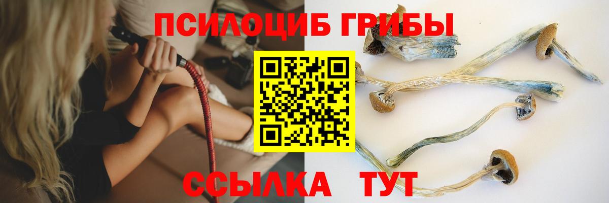 Родники  Галлюциногенные грибы GOLDEN TEACHER  Вход с VPN 